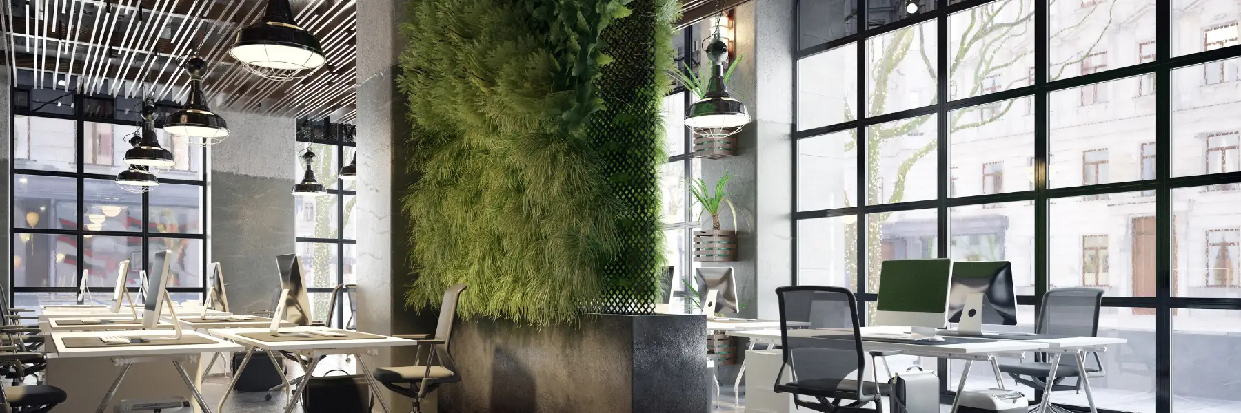 7 Trends in Kantoorbeplanting 2025 | blogpost