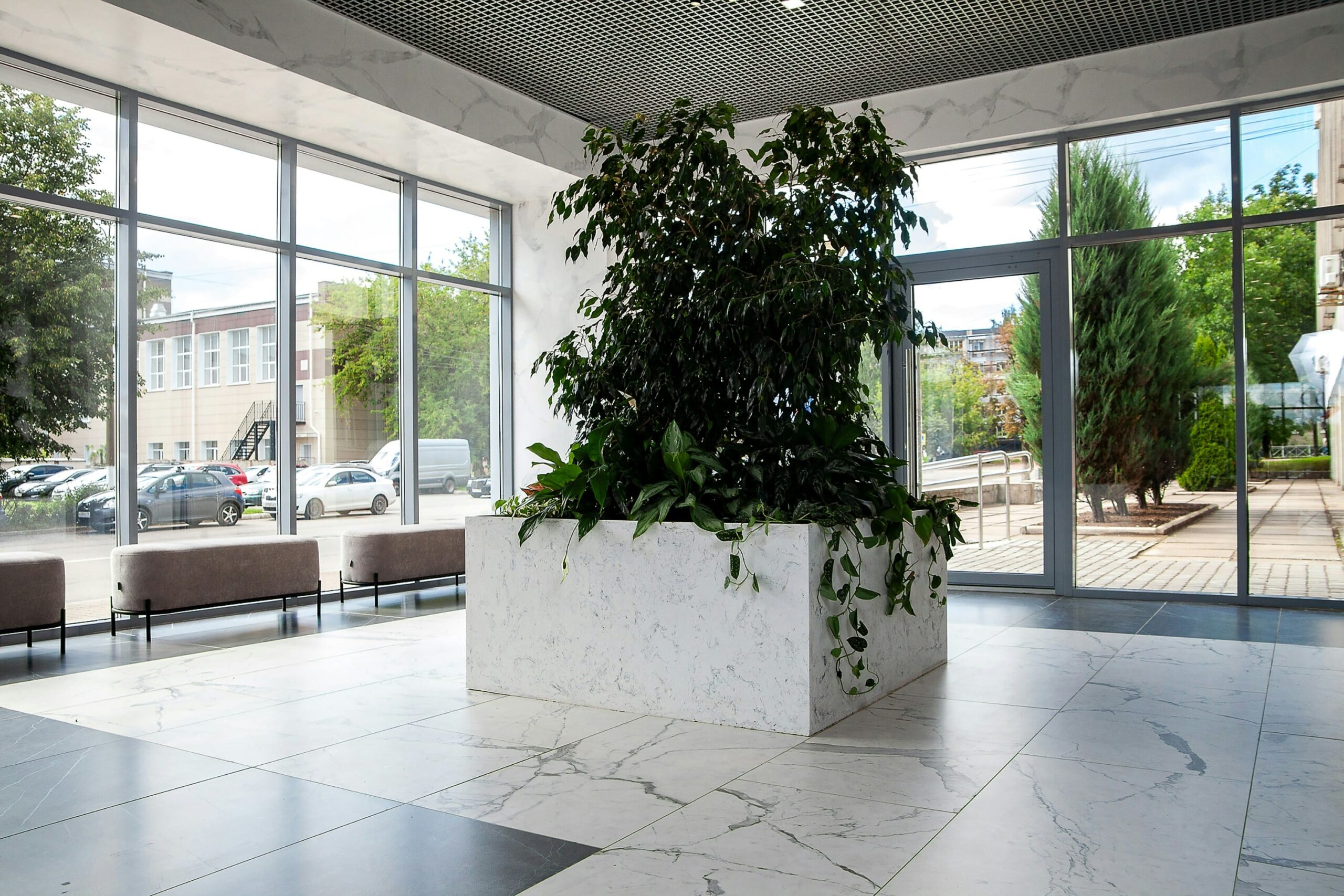 Inspiratie kantoorplanten werkgebied MVZ Bedrijfsgroen