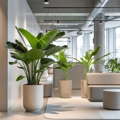 Kantoorbeplanting in Nieuwegein