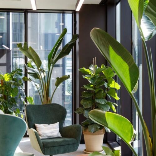 N26 Offices - Barcelona _ Office Snapshots