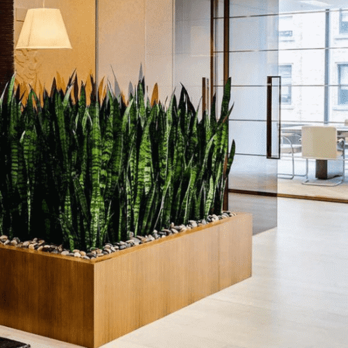 Kantoorbeplanting in Houten groen op kantoor