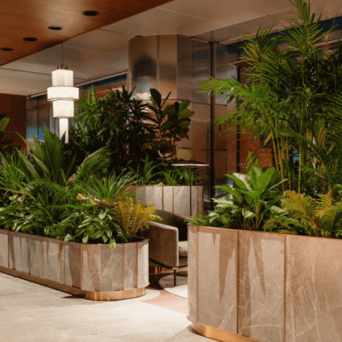 Projecten kantoorbeplanting mvz bedrijfsgroen