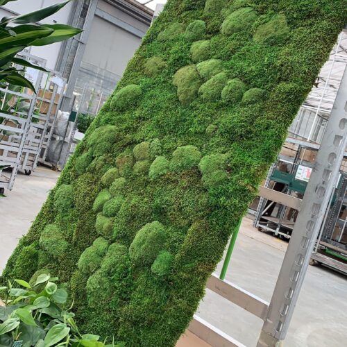 Kantoorbeplanting inclusief onderhoud door MVZ Bedrijfsgroen vraag direct een offerte aan