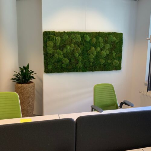 Interieurbeplanting op maat voor bedrijven door MVZ Bedrijfsgroen