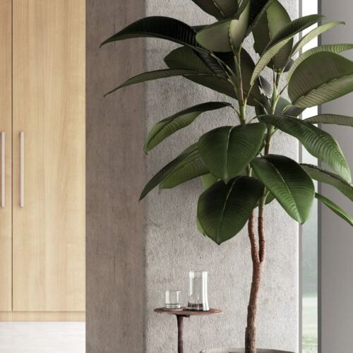 Hydrocultuur kantoorplanten in een moderne kantooromgeving mvz Bedrijfsgroen
